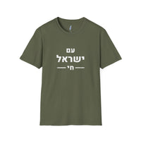 Am Yisrael Chai Tee · Distressed Hebrew · עם ישראל חי view 3