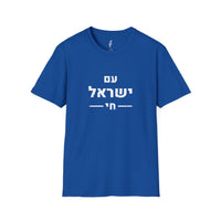 Am Yisrael Chai Tee · Distressed Hebrew · עם ישראל חי view 5