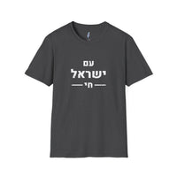 Am Yisrael Chai Tee · Distressed Hebrew · עם ישראל חי view 4