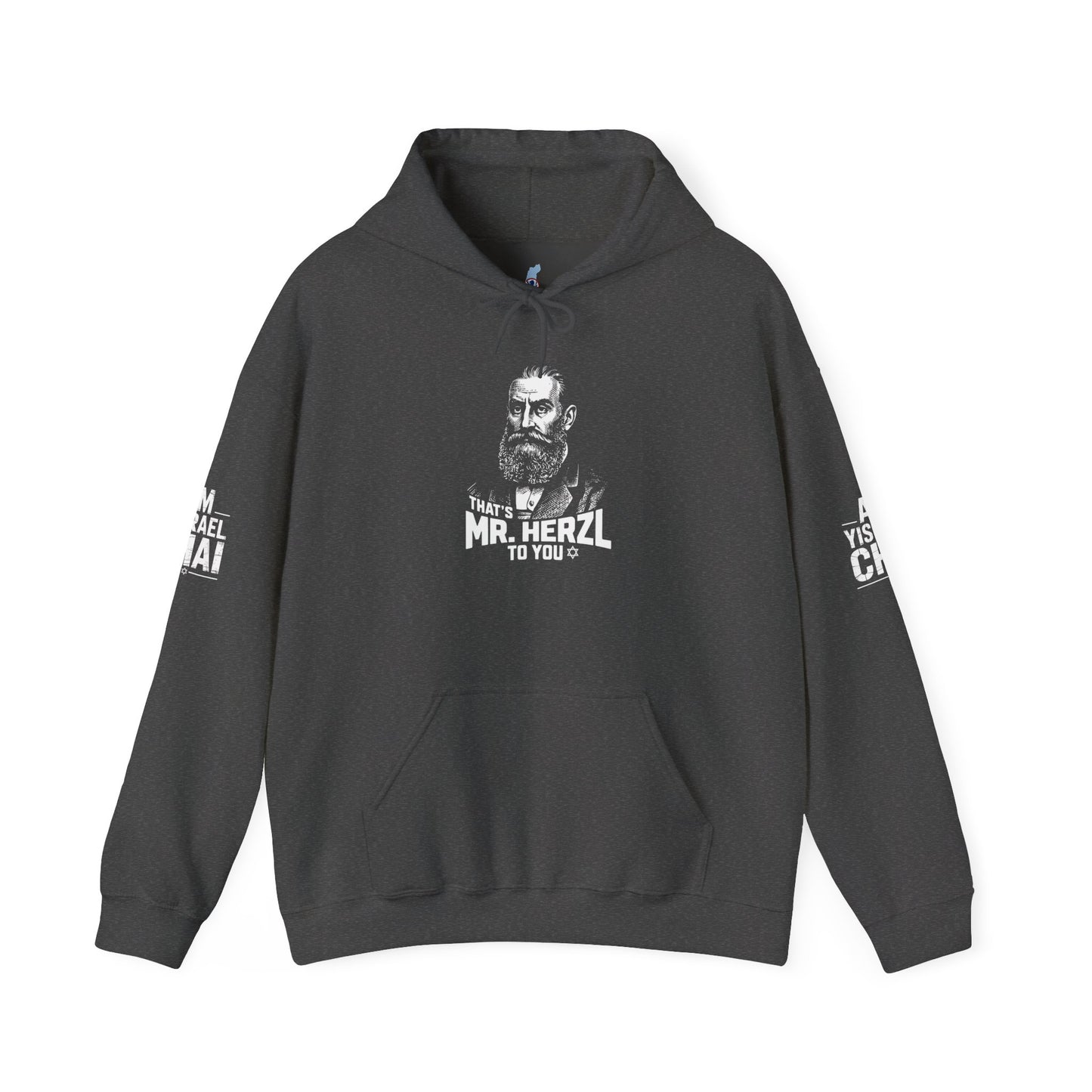 Mr. Herzl To You — Founder Hoodie | Am Yisrael Chai Sleeves